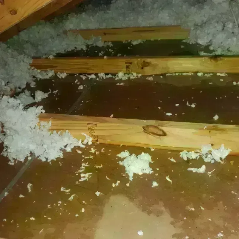 Attic Water Damage in Bay Wood, NY